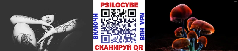 KRAKEN зеркало  Углич  Псилоцибиновые грибы Psilocybine cubensis 
